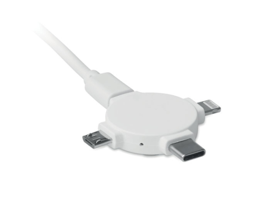 LIGO CABLE - Câble avec adaptateur 3 en 1