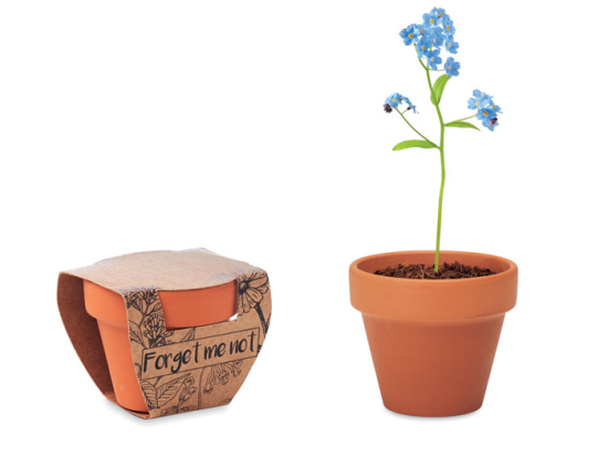 FORGET ME NOT