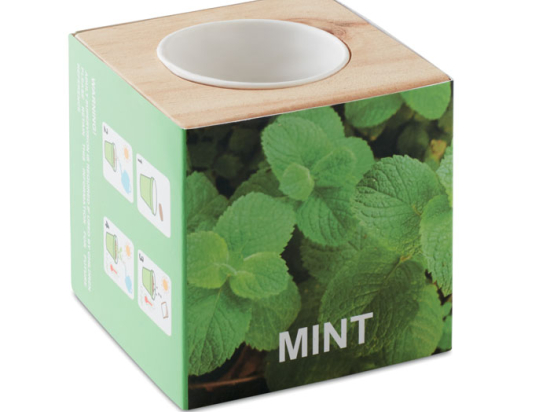 MENTA