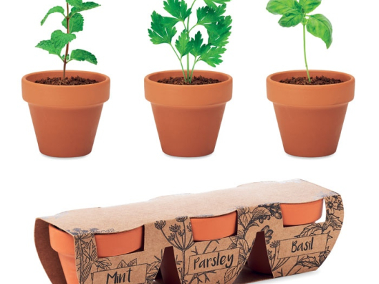 FLOWERPOT - 3 pots en terre