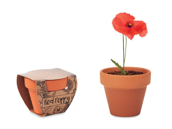 RED POPPY