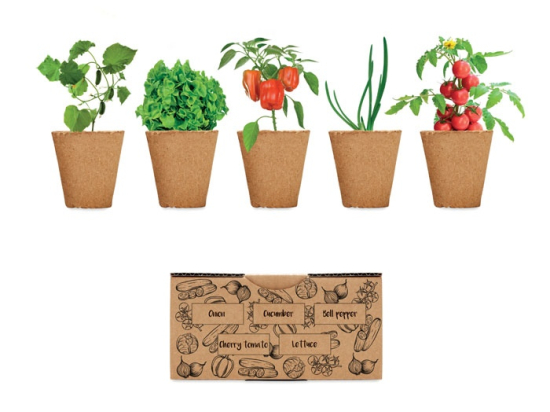 SALAD - Kit de culture de salade
