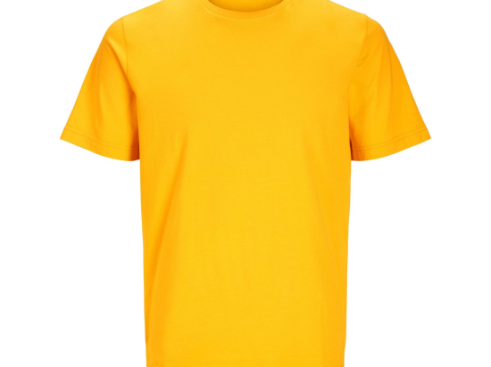 Tee-shirt unisexe en coton organique