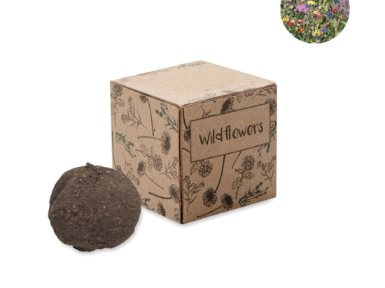 BOMBI - Boule graines de fleurs sauvages