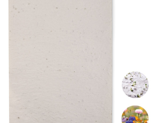 ASIDI - Papier A4 graines de fleurs