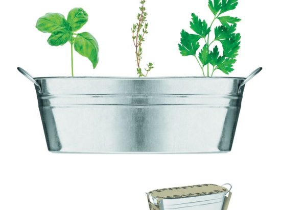MIX SEEDS - Bac en zinc & herbes aromatique