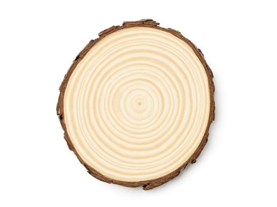 PINEA