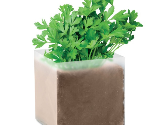 PARSELY - Substrat avec graines Persil