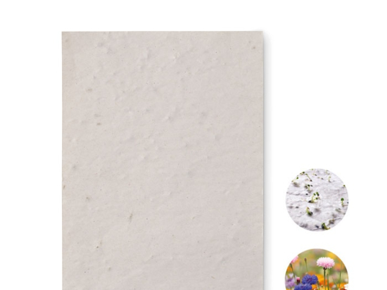 ASIDO - Papier A6 graines de fleurs