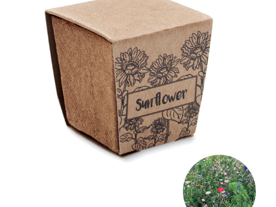 SUNFLOWER KIT