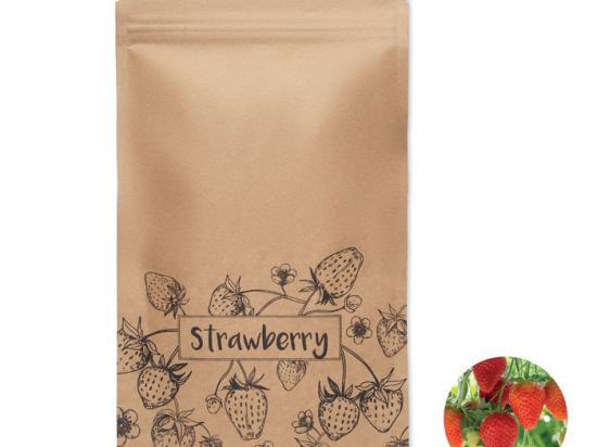 FRESA KIT - Kit de culture de fraises