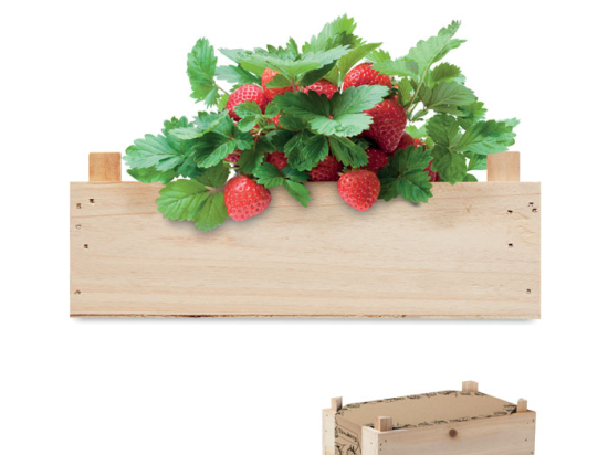 STRAWBERRY