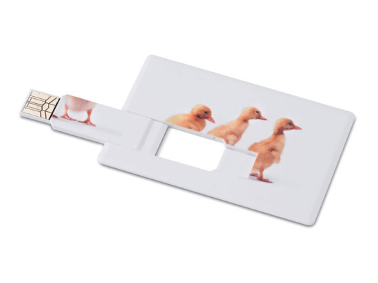 MEMORAMA - Creditcard. USB flash 16GB