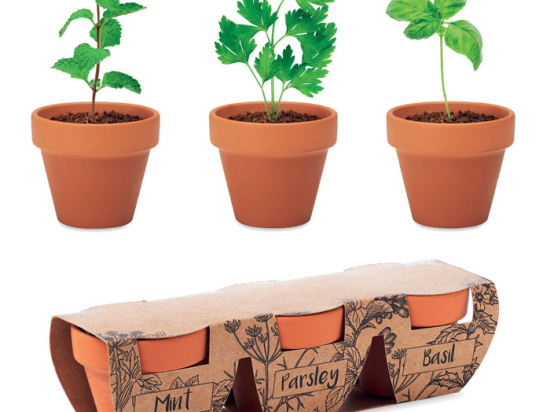 FLOWERPOT