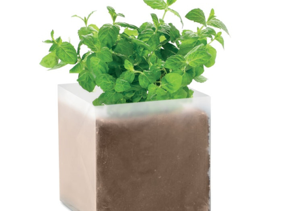 MINT - Substrat avec graines Menthe