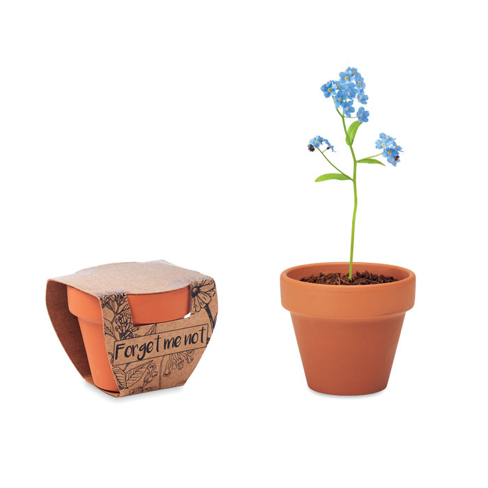 FORGET ME NOT thumb