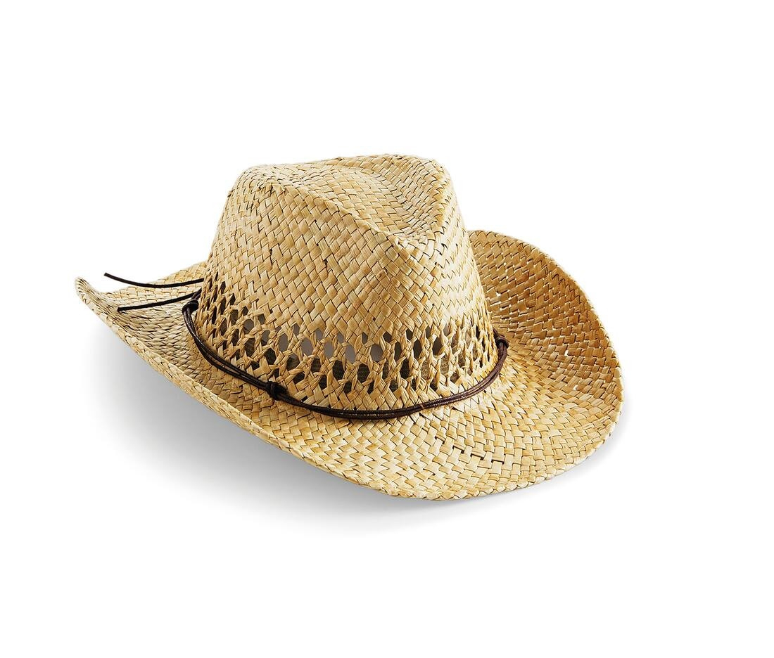 Chapeau de cowboy thumb