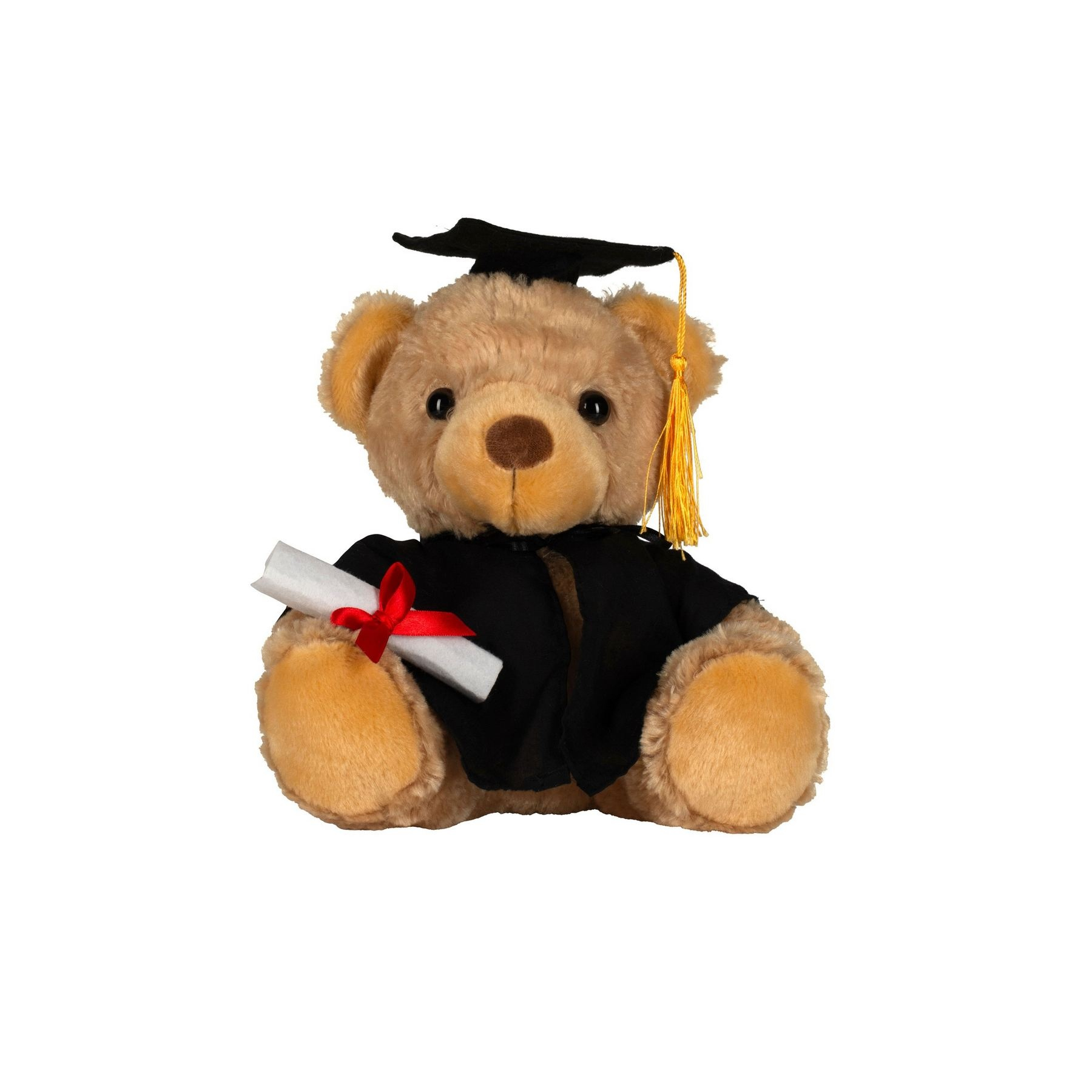 Ours en peluche diplomé