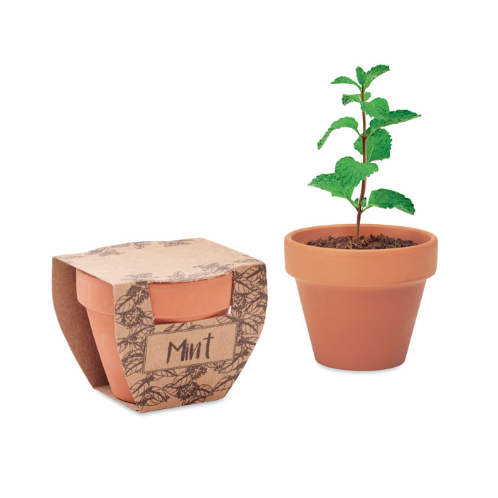 MINT POT thumb