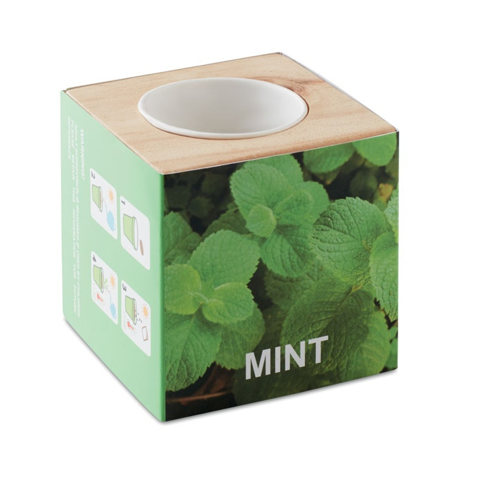 MENTA - Pot en bois avec graine thumb