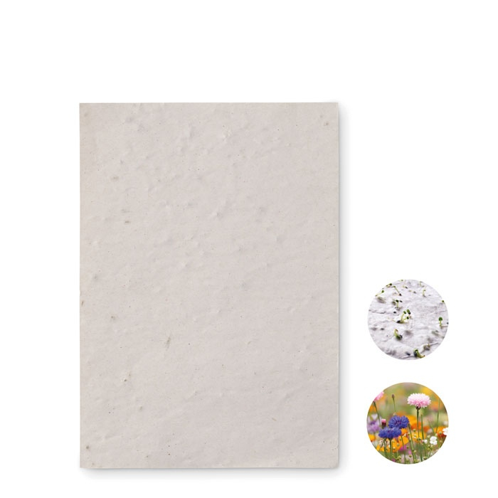 ASIDO - Papier A6 graines de fleurs thumb