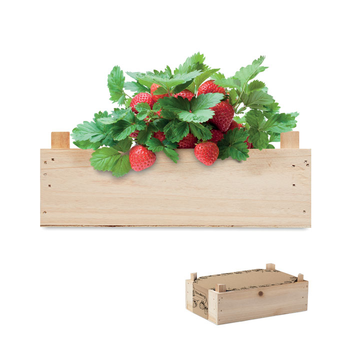 STRAWBERRY thumb