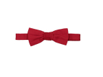 Noeud papillon