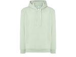 Sweat capuche 290