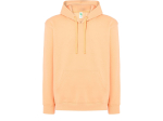 Sweat capuche 290