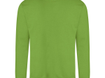 Sweat col rond 280