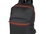 Daily backpack