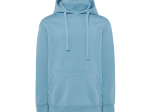 Sweat capuche 290