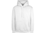 Sweat à capuche unisexe