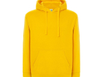 Sweat capuche 290