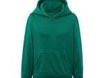 Sweat capuche 290