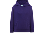 Sweat capuche 290
