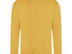 Sweat col rond 280