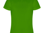 CAMIMERA