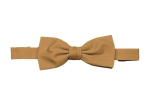 Noeud papillon