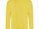 Sweat col rond 280