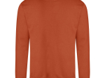 Sweat col rond 280