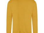 Sweat col rond 280