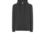 Sweat capuche 290