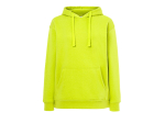 Sweat capuche 290