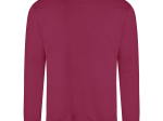 Sweat col rond 280
