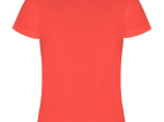CAMIMERA