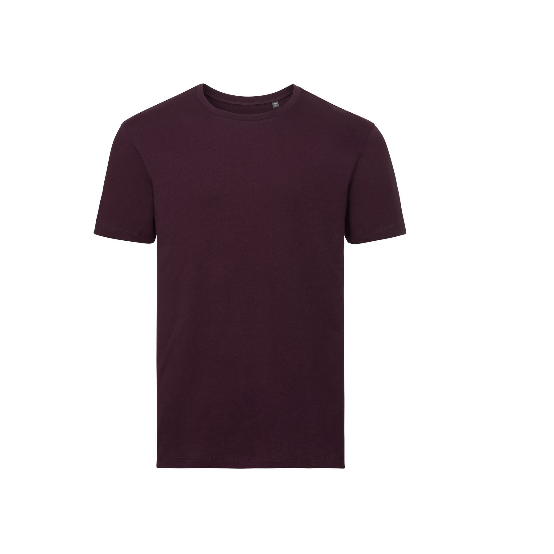 Tee-shirt organique homme