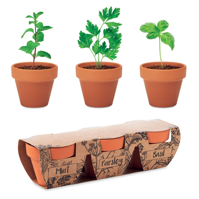 FLOWERPOT - 3 pots en terre thumb