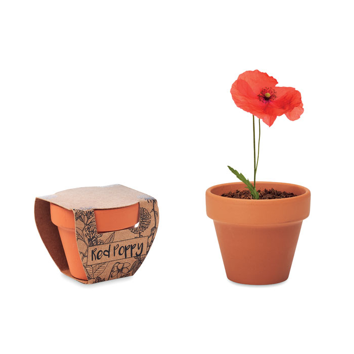 RED POPPY thumb