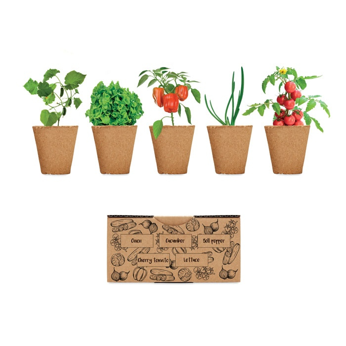 SALAD - Kit de culture de salade thumb